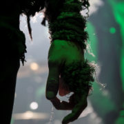 fotoselvans_20161112_7645