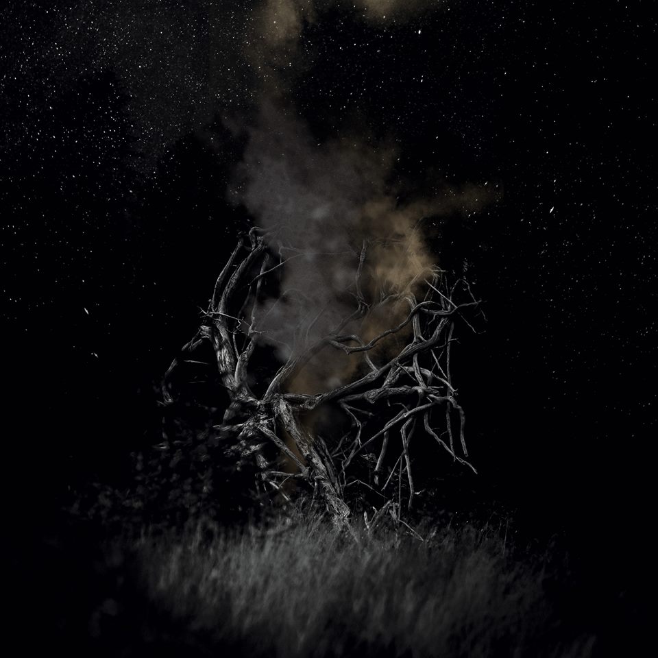 nmodstigmata
