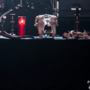 fotoDarkend_BWF16_1569