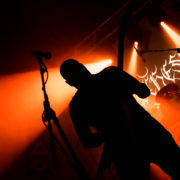 fotoMelechesh_20170317_7886