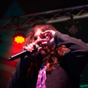 fotoTheDeadDaisies_20181210_0330