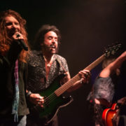 fotoTheDeadDaisies_20181210_0375