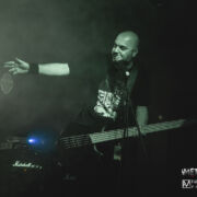 fotoGuineapig_20230519_0003