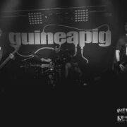 fotoGuineapig_20230519_0008