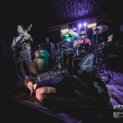 fotoNextTimeMrFox_20230703_0009