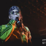 fotoNextTimeMrFox_20230703_0011