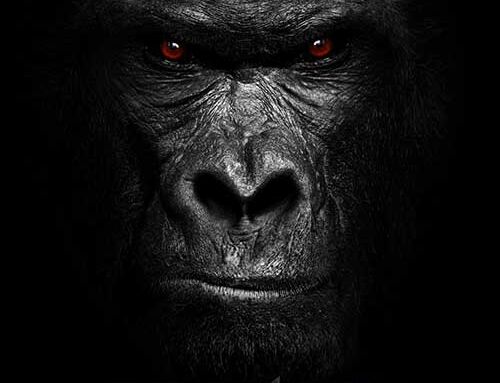 EXTREME, il video di “X Out”