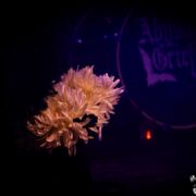 fotoAbysmalGrief_20241031_1550