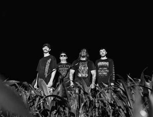 SANGUISUGABOGG, il video di “Rotted Entanglement”