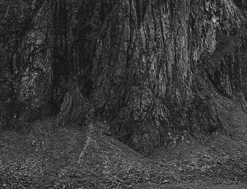 DEFACEMENT – ”Doomed”