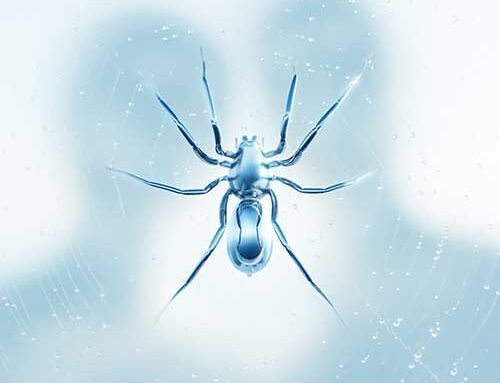 ZETRA – “Believe” (EP)