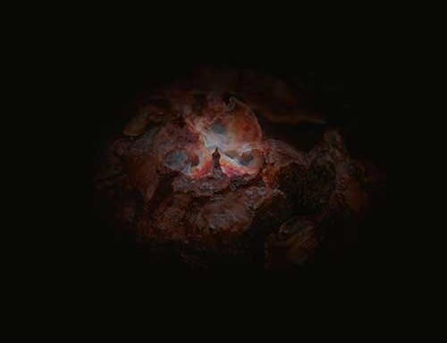 EMMERHOFF & THE MELANCHOLY BABIES – “The Dying Of The Light”