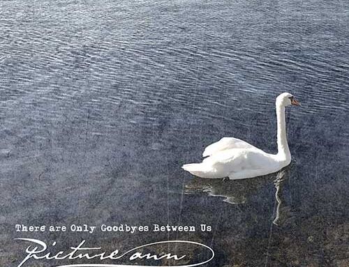 PICTURE ANN – “There are Only Goodbyes Between Us”