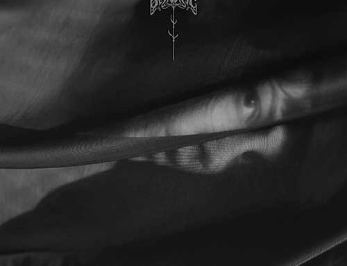 ANTINOË – “The Fold”