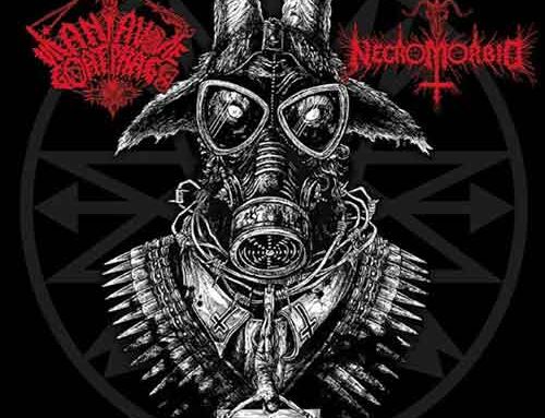 URANIAVORE GOATPHAGO / NECROMORBID, il nuovo split presentato dalla Blasphemous Art Productions
