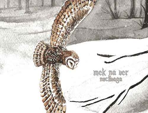 MEK NA VER, il nuovo album “Noctivaga” della band con membri di Opera IX