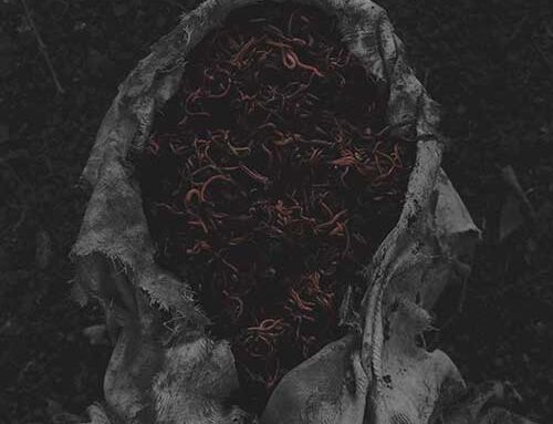 GORRCH – “Stillamentum”