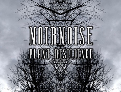 NOIRNOISE – “Plant Resilience”