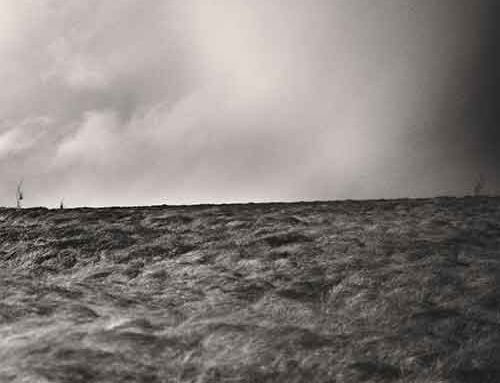 TEMPTRESS – “Hear”