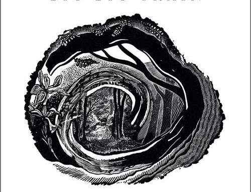 BIG BIG TRAIN – “Woodcut”