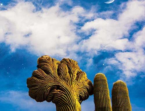 DIESPNEA – “Radici”