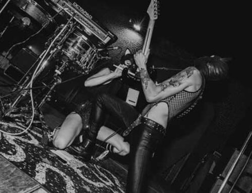 ANIMAUX FORMIDABLES, il video di “I Am a Cat and I Love My Dog!”