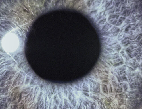 DAN SWANÖ – “Moontower” (Reissue)