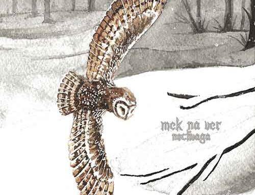 MEK NA VER – “Noctivaga”