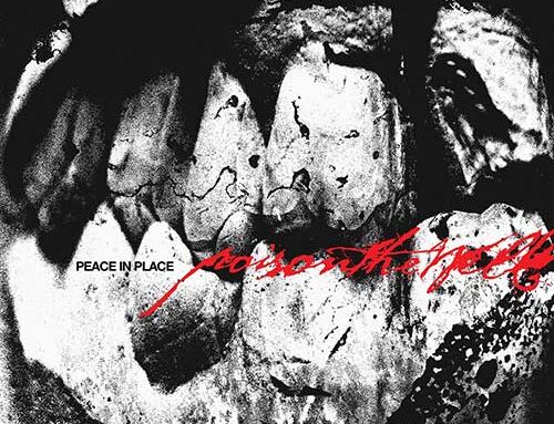 POISON THE WELL – “Peace in Place”
