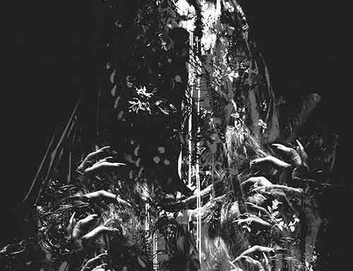 NO/MÁS – “No Peace”