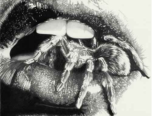 MASHEENA – “Let The Spiders In”