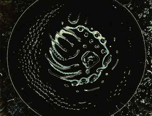 STONUS – “Space To Dive”