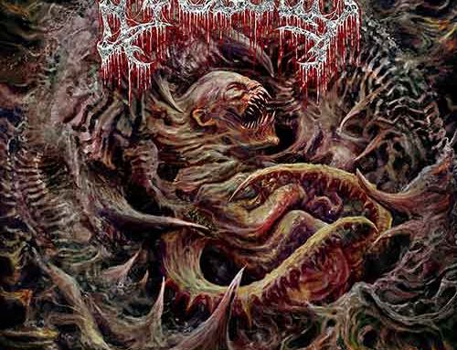 AVULSED, presentano una cover dei Carbonized dal prossimo album