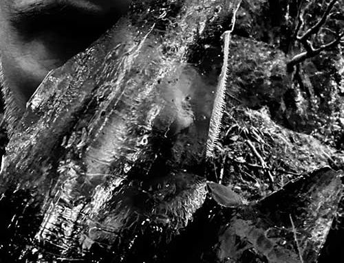 TAAKE – “En Skog av Nidstang”