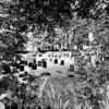 fotoBeyondTheGates2026_Tombe1
