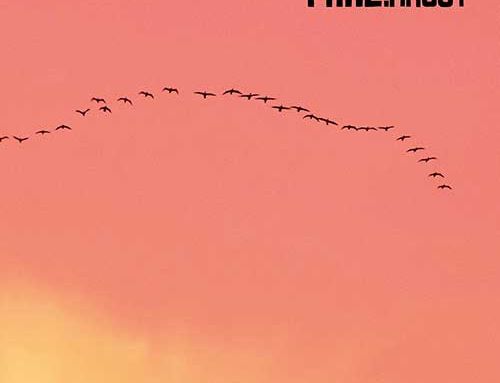 PHAL:ANGST – “Minor Tremors”