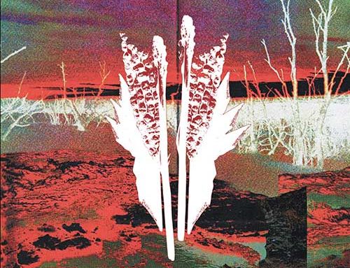 SEX MAGICK WIZARDS – “Suola ja Noaidi”