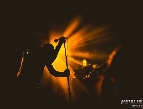 WOLFBRIGADE @ Frantic Fest | Francavilla al Mare (CH) 15.08.2026. Le Foto!